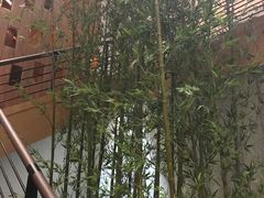 -汤森悠生活文化汤(江宁万达店)