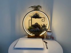 -简悦美塑·徒手点穴减肥