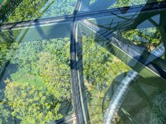 -黄海国家森林公园