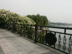 android_upload_pic-蠡湖大桥公园