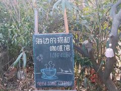 -海边的猫和咖啡馆