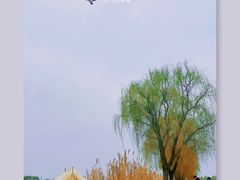 -漕湖湿地公园