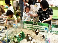 -凯德MALL(望京店)