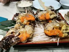 -渔娘渔家丹东海鲜(东直门店)