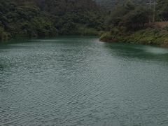 -佛山市三水区大南山森林公园