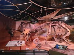 -正佳自然科学博物馆