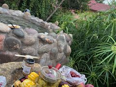 -映月潭温泉