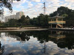 -晓港公园