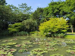 -云溪植物园