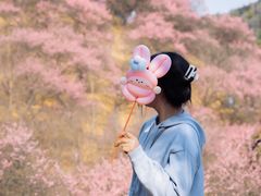 -新建村梅花
