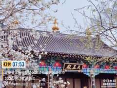 -护国法轮寺