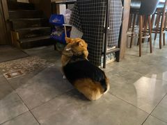 -安琳acKONA咖啡(市南店)