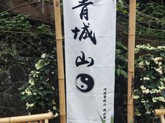 -青城山