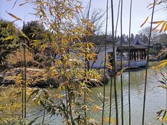 -花洲书院