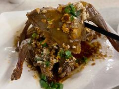 -百利鸽王(紫薇路店)