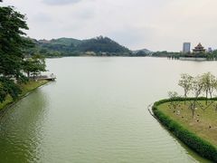 -顺峰山公园