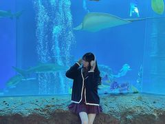 -南昌融创海世界