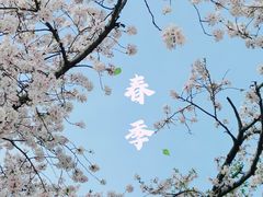 -苏州上方山国家森林公园