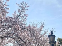 -苏州上方山国家森林公园