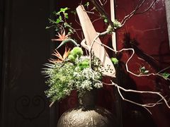 -星·South Beauty·俏江南(国贸店)