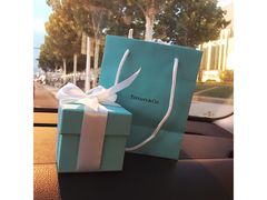 -Tiffany & Co.蒂芙尼
(天津万象城店)