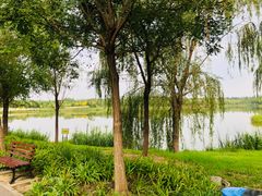 -东郊湿地公园