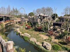 -上海野生动物园