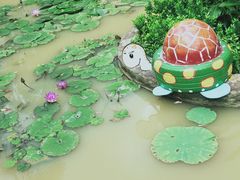 -100蛋泥浆浴