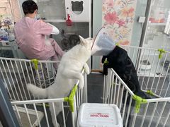 -萌兽医馆·眼科·异宠专科(三里屯店)