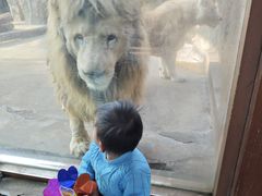 -南昌动物园