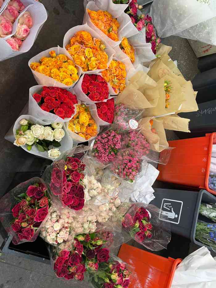 八卦岭花卉中心-"八卦岭以前是工业区,印象中很多制衣厂,建.