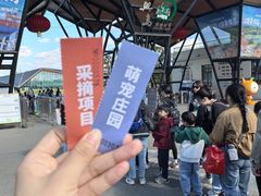 -上海长兴岛郊野公园