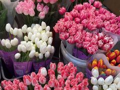 -双季花艺园艺市场(浦东店)