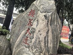 -武汉大学-樱园