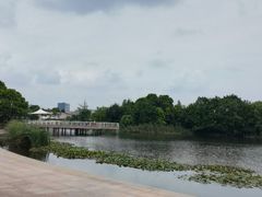 -新江湾城公园