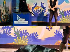 -太平洋海底世界