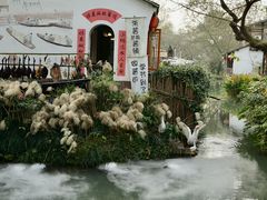 -西溪国家湿地公园