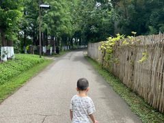 -乌村