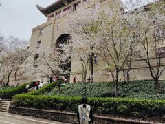 -武汉大学-樱园