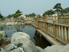 android_upload_pic-中国唐苑