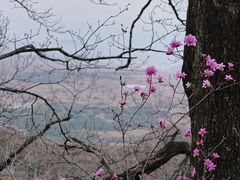 -吉林拉法山