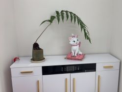 -WENDY·温迪皮肤管理