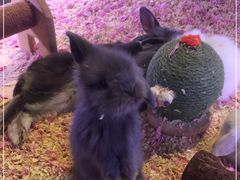 -大玩家(拱墅万达店)