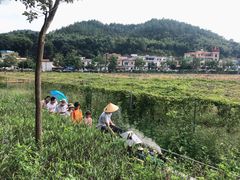 -红山村