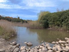 -吴淞炮台湾湿地森林公园烧烤区