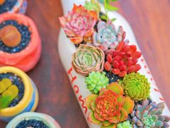 -循礼门鲜花花市(武汉循礼门店)