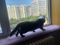 -美迦爱-牙专科·兔科·骨科诊疗中心(北苑店)