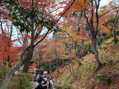 -常寂光寺