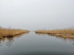 -白洋淀景区