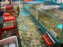 水产区-新享乐海鲜(翠华路店)